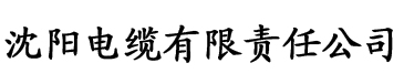 超碰大香蕉电缆厂logo